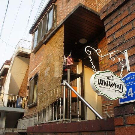 Whitetail Backpacker And Hostel - Hostel Seoul Exterior photo